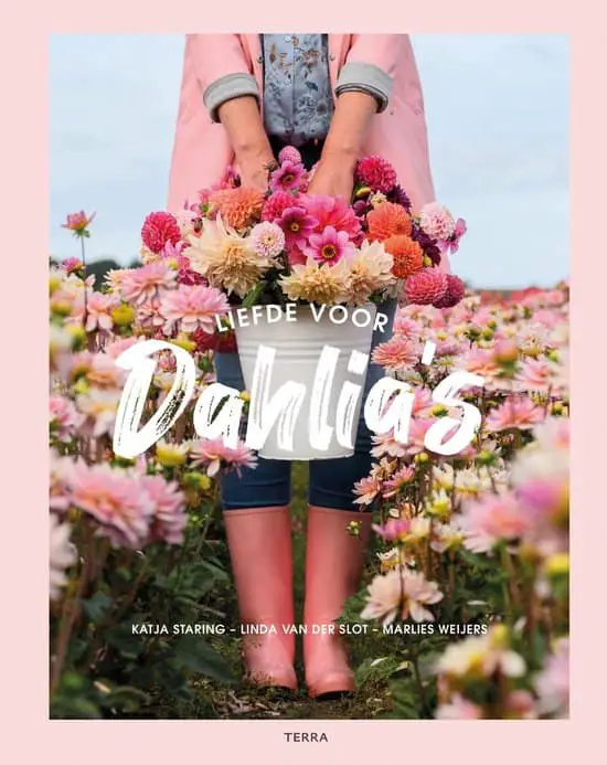 Dahlia’s: alles wat je weten moet voor een bloementuin!