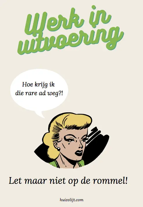 Huisvlijt