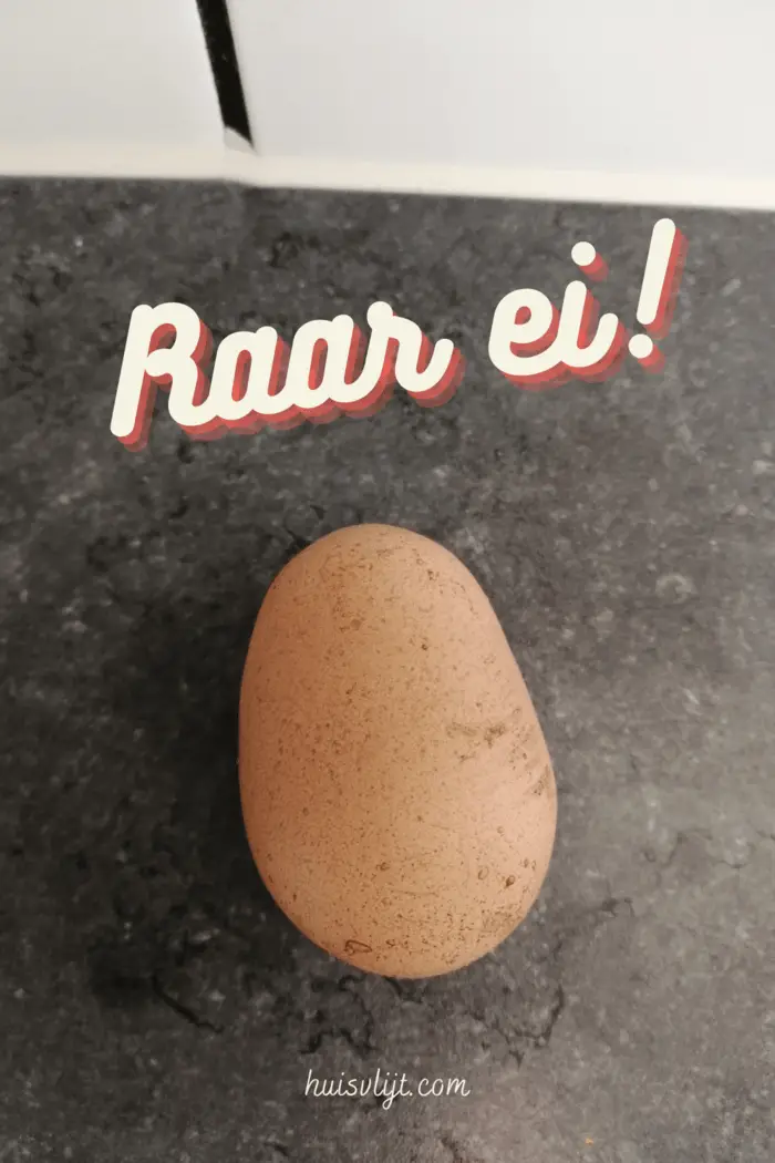 Geen blij ei, maar een raar ei 2 Geen blij ei, maar een raar ei