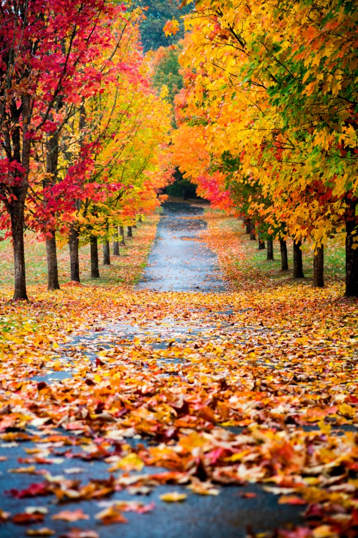 seizoenen aesthetic herfst