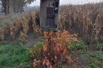 Raadsels in het landschap