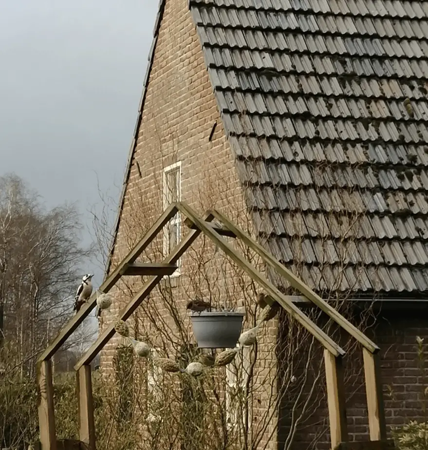 Tuinpret met de Bonte Specht en Eekhoorn