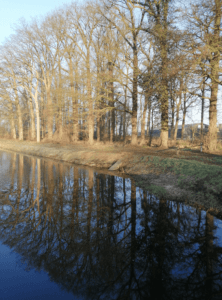 spiegelbeeld