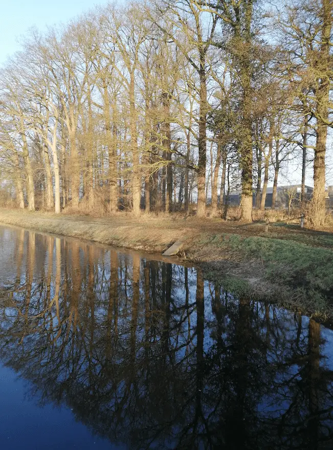 Wat bomen kunnen, kan ik ook!