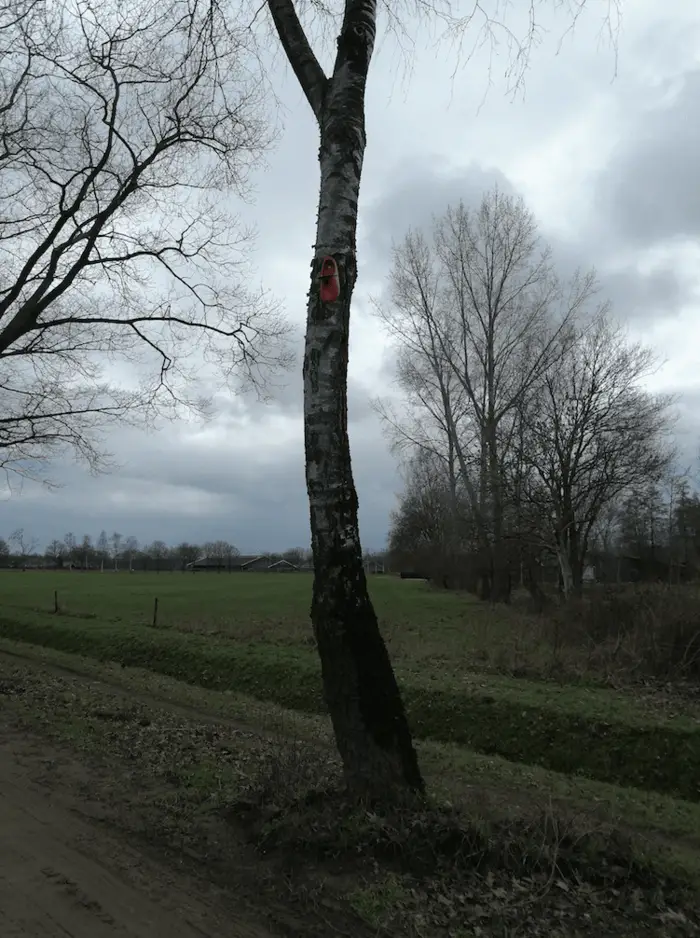 vogelhuisje
