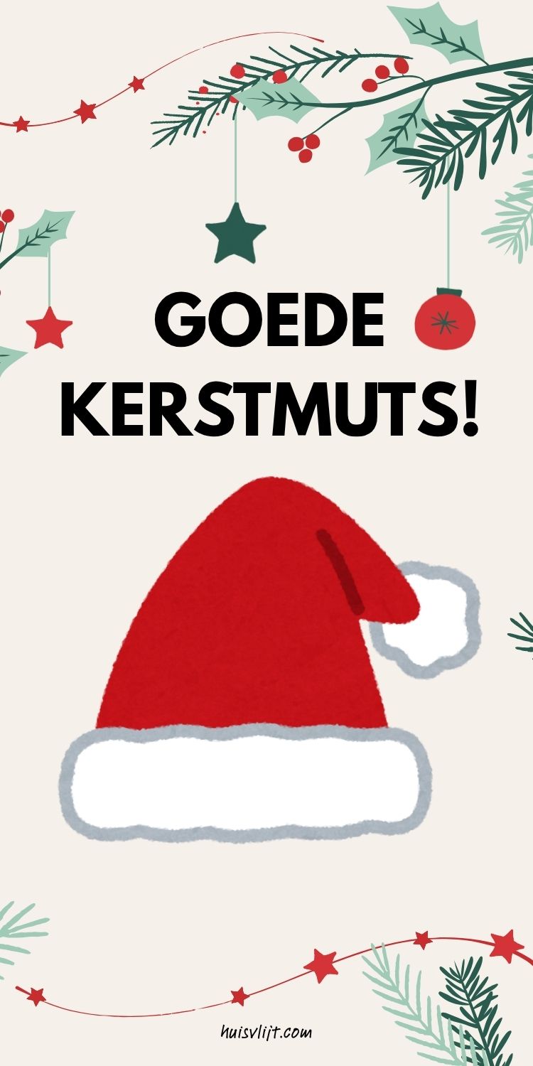 43 x Grappige kerstkaarten inspiratie 2 grappige kerstkaarten