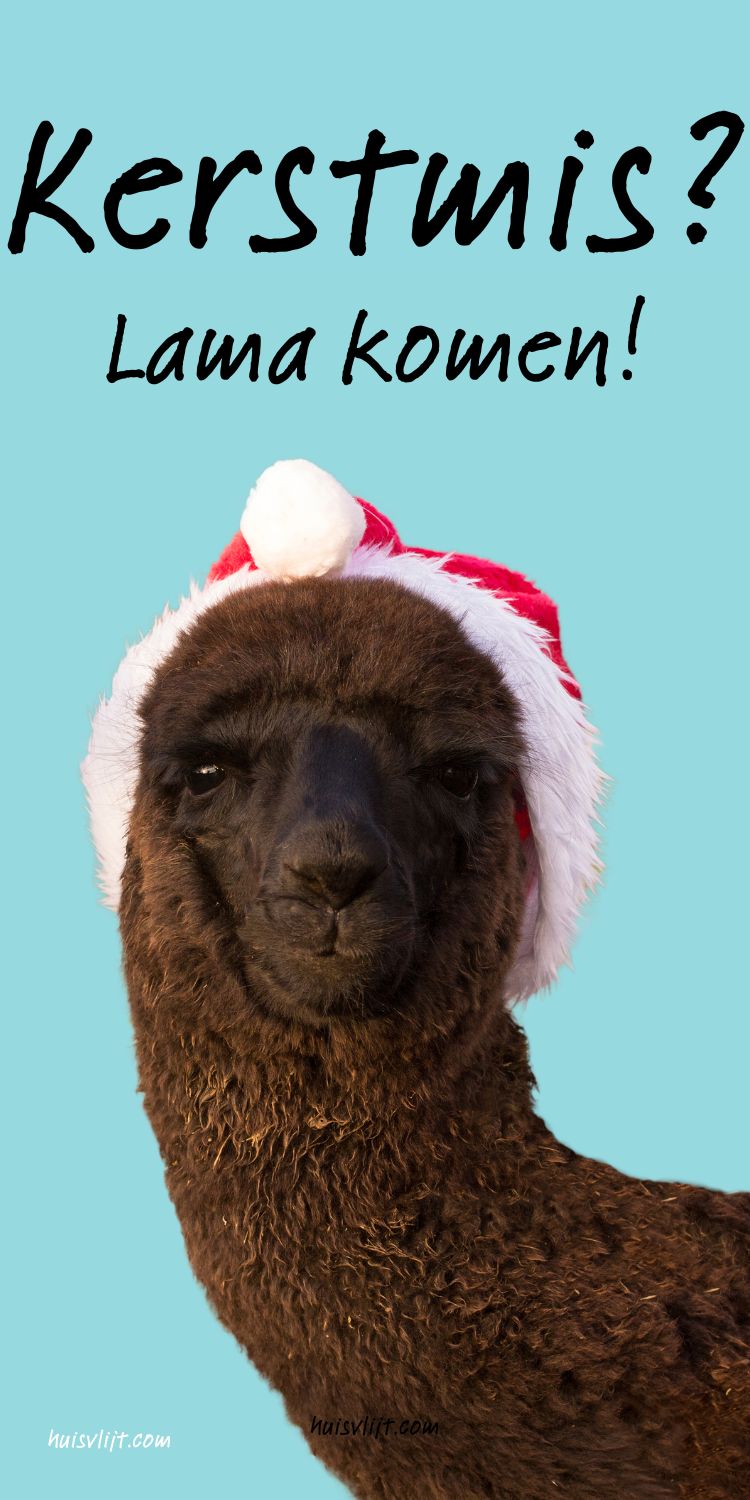 43 x Grappige kerstkaarten inspiratie 1 grappige kerstkaarten