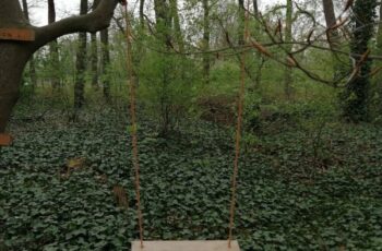 Schommel, midden in ‘t bos