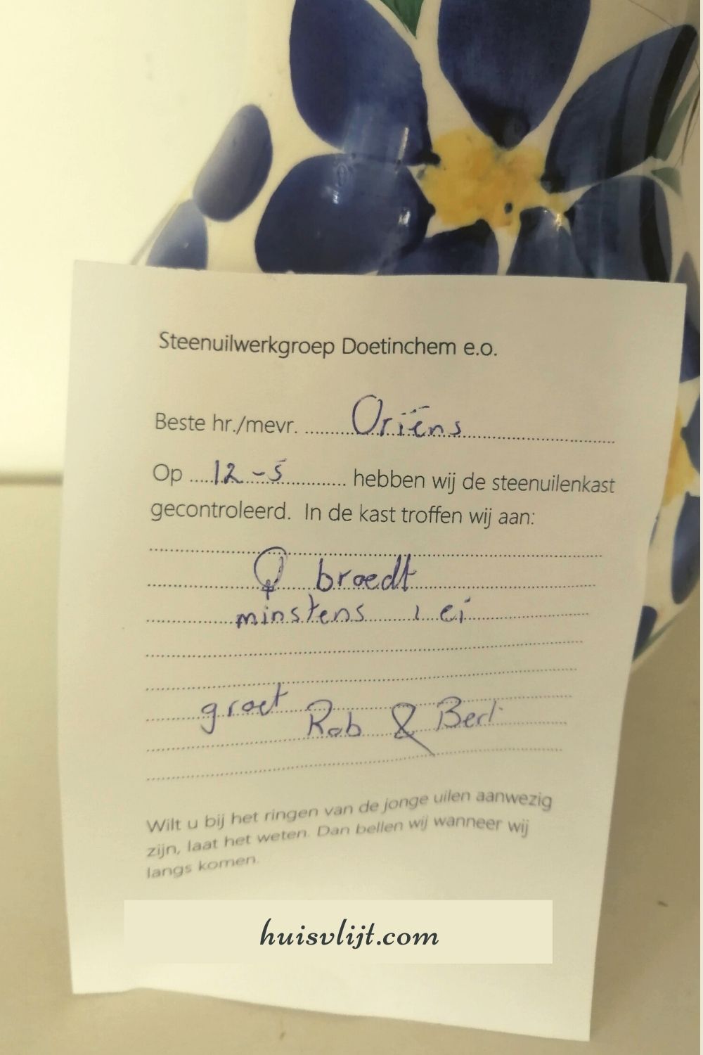 Opwindend nieuws: uilskuiken op komst! 10 Opwindend nieuws: uilskuiken op komst!