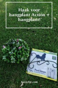 haak voor hangplant Action