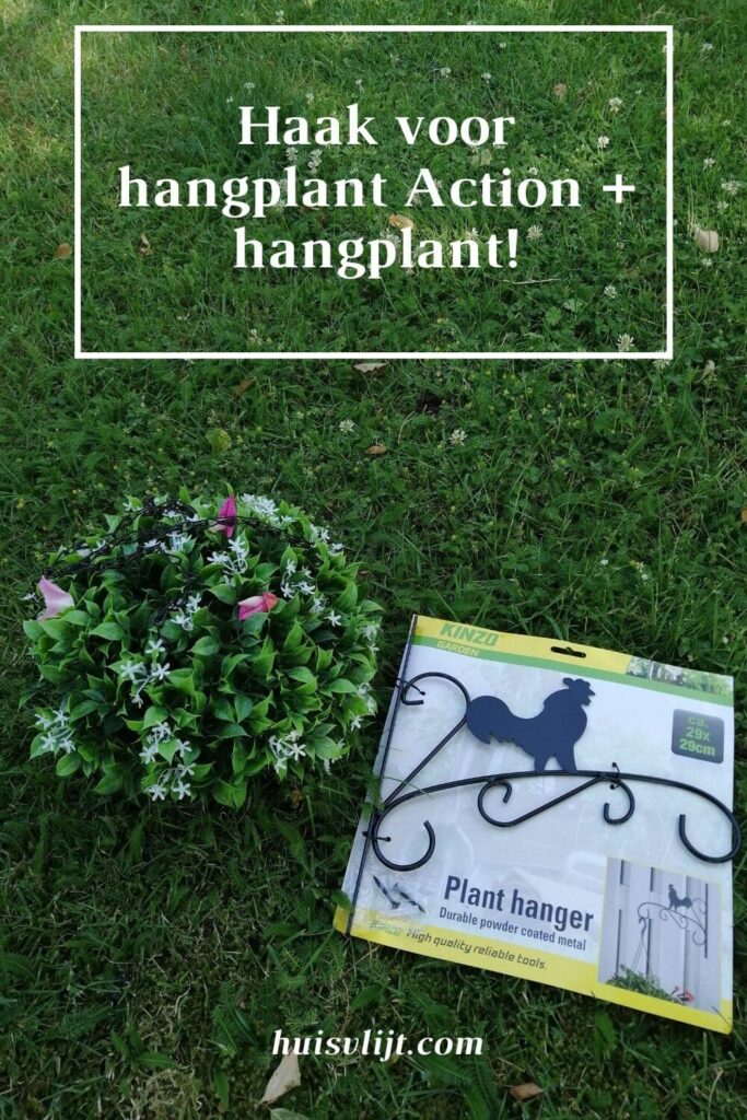 Haak voor hangplant Action + hangplant!