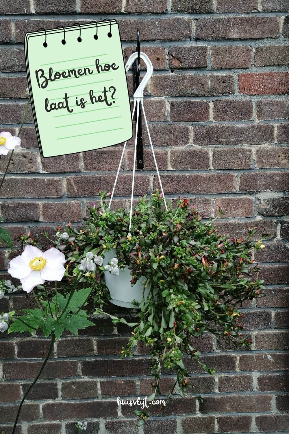 Bloemen hoe laat is het?