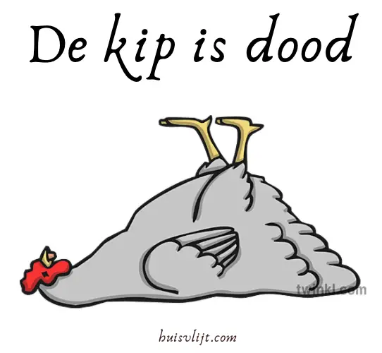 De kip is dood