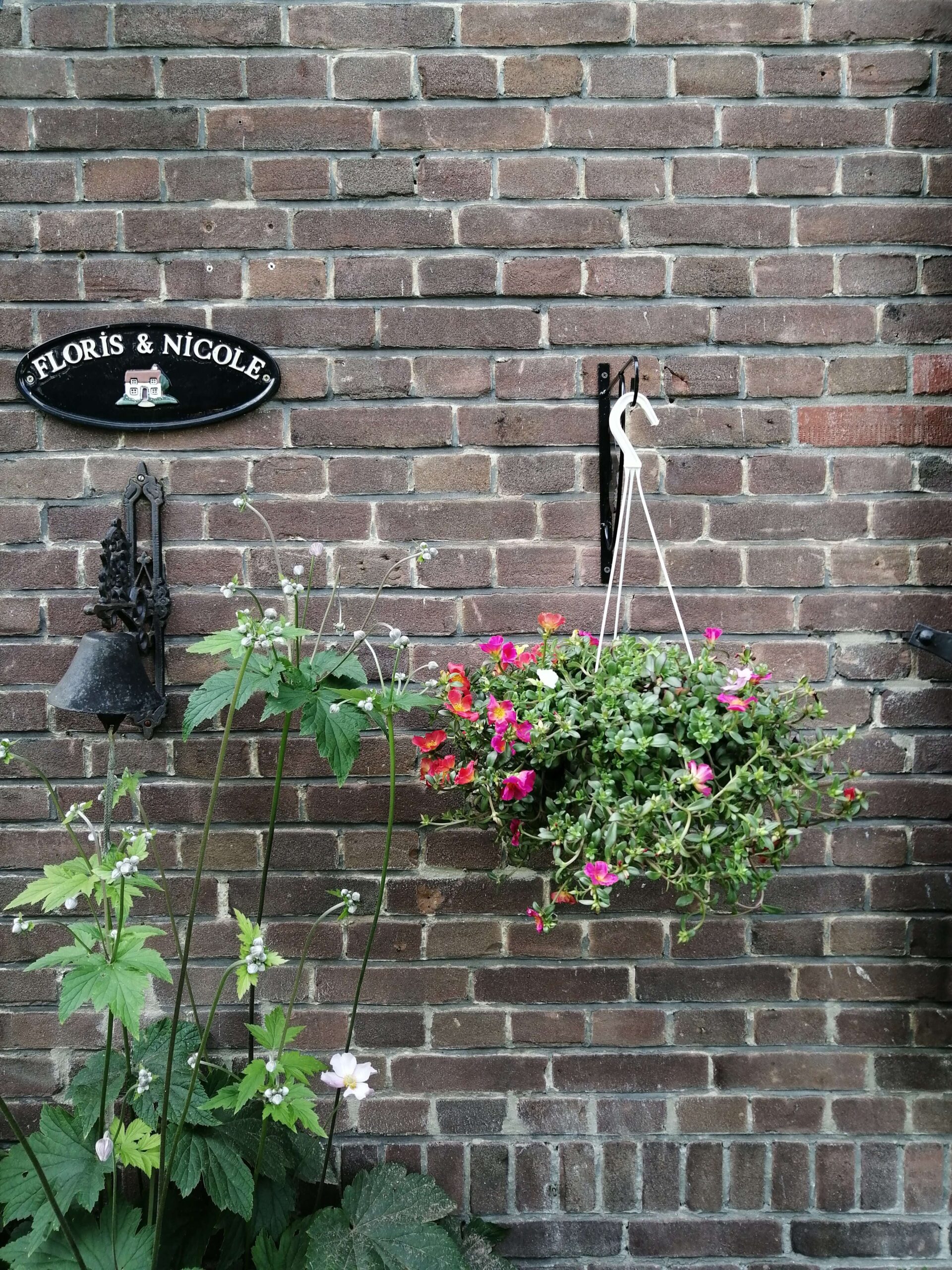 Action plantenhanger: hij hangt. Met bloemen!