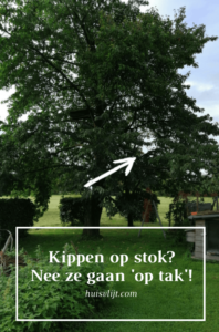 kippen op stok
