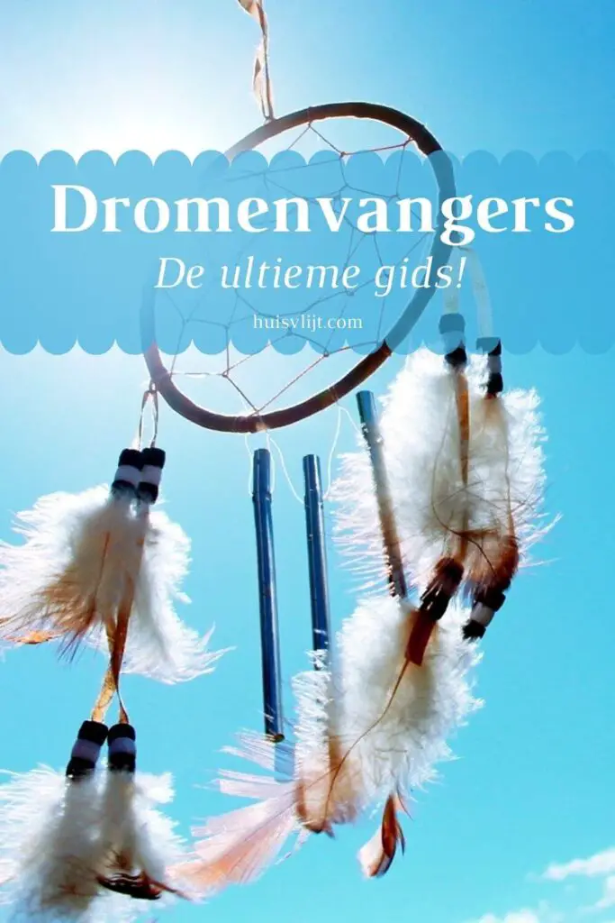 dromenvangers