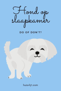 hond op slaapkamer