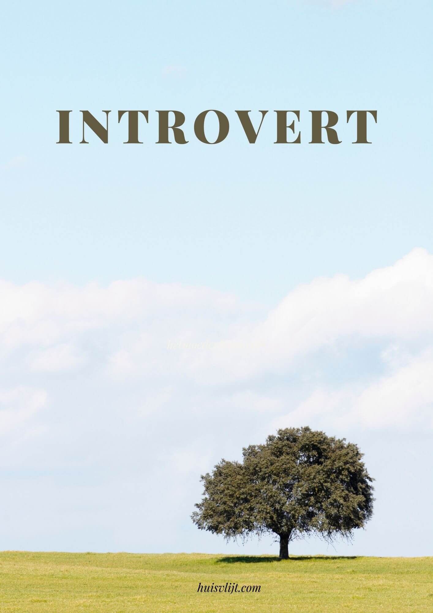 Introvert: ‘De tirannie van de extraverten’