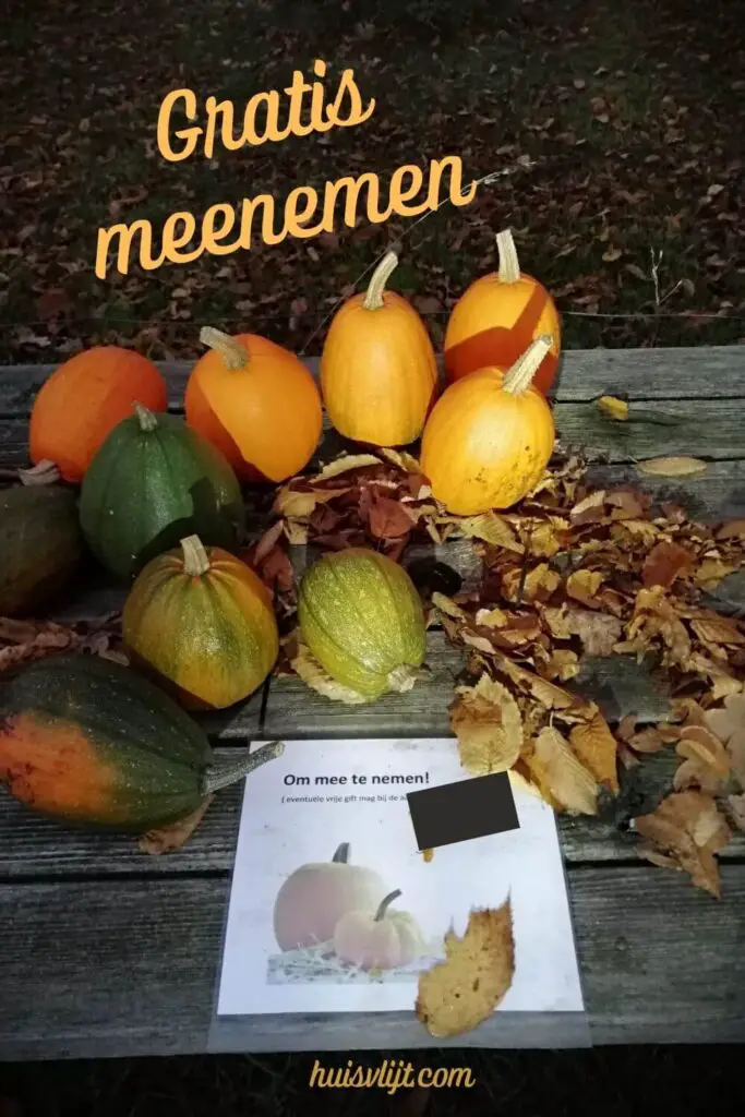 kraampje pompoenen