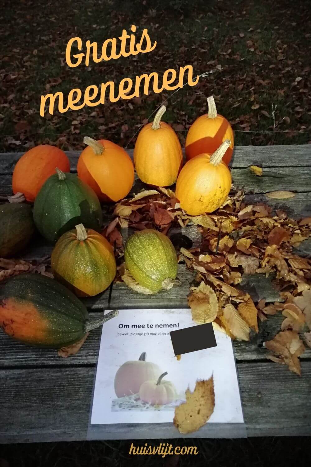 Gratis meenemen + 2 kilo aardappels voor 2,50