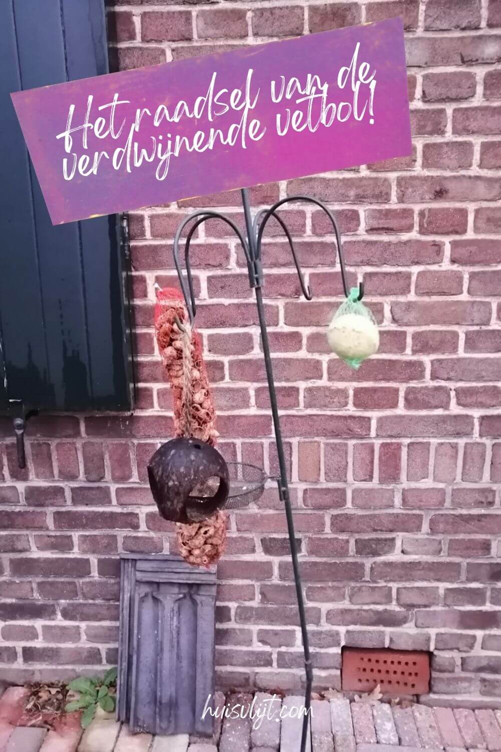 Het raadsel van de verdwijnende vetbol! 2 Het raadsel van de verdwijnende vetbol!