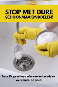 schoonmaakmiddelen lijst
