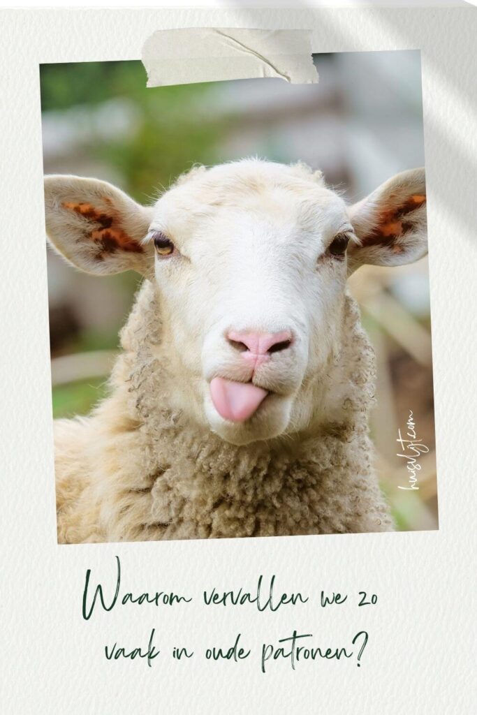 Een ezel stoot zich in 't gemeen... 1 patronen