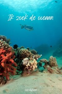 lente in je hart