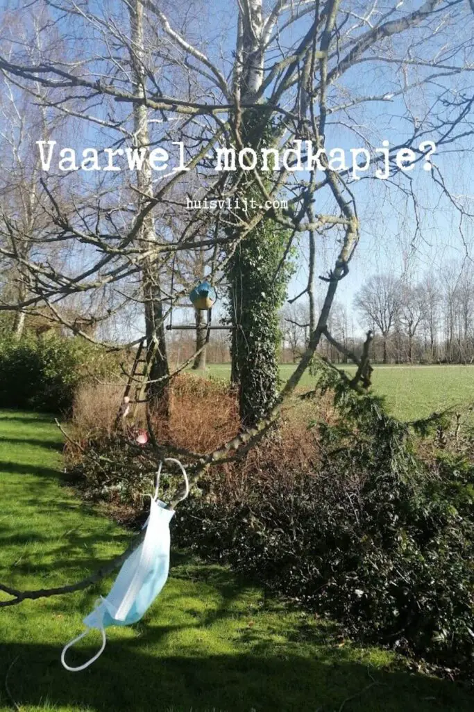 mondkapje