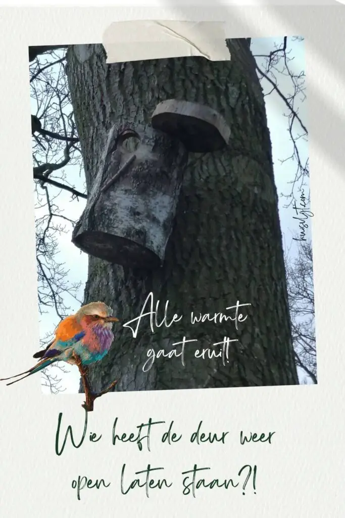 Wie heeft de deur weer open laten staan?! 1 vogelhuisje