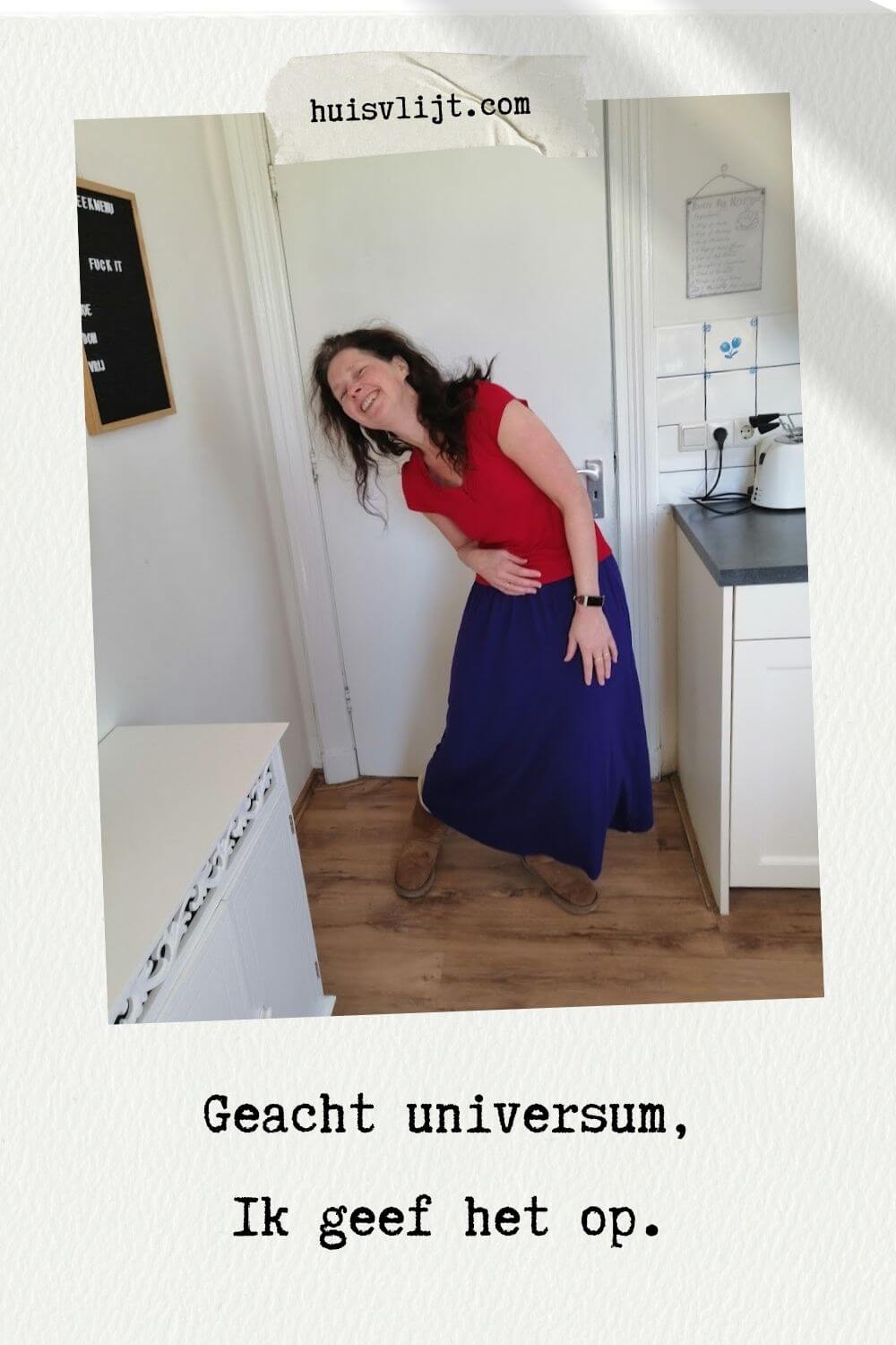 Geacht universum: ik geef het op.