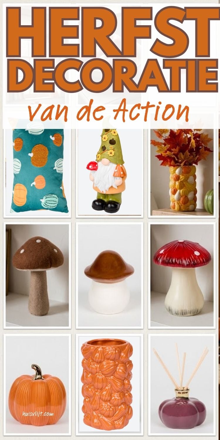 Herfst decoratie van de Action: zo maak je je huis budgetvriendelijk herfstklaar 1 action herfstdecoratie