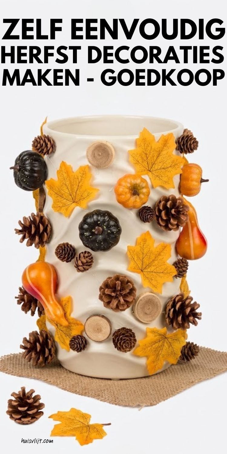 Herfst decoratie van de Action: zo maak je je huis budgetvriendelijk herfstklaar 3 Deze herfstdecoratie is gemaakt van een Action vaas + Action hefstblaadjes en natuurproducten.