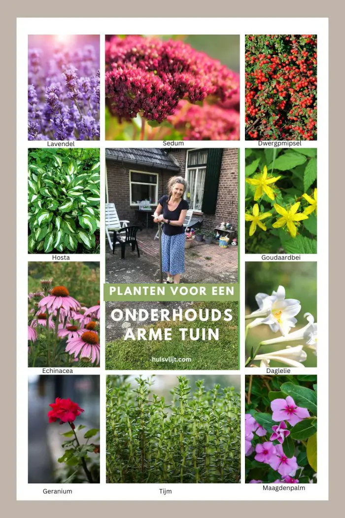 onderhoudsvriendelijke tuin