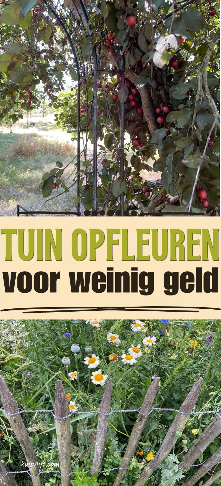 Goedkope tuindecoratie: ideeën om je tuin op te fleuren (veel van de Action) 1 tuindecoratie