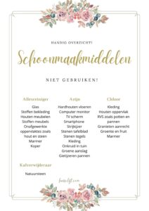 veilig schoonmaken