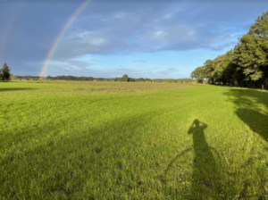 regenboog