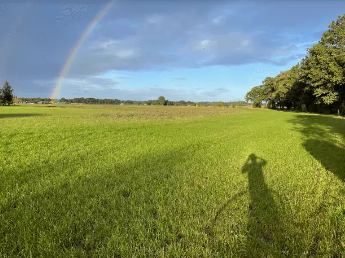 regenboog