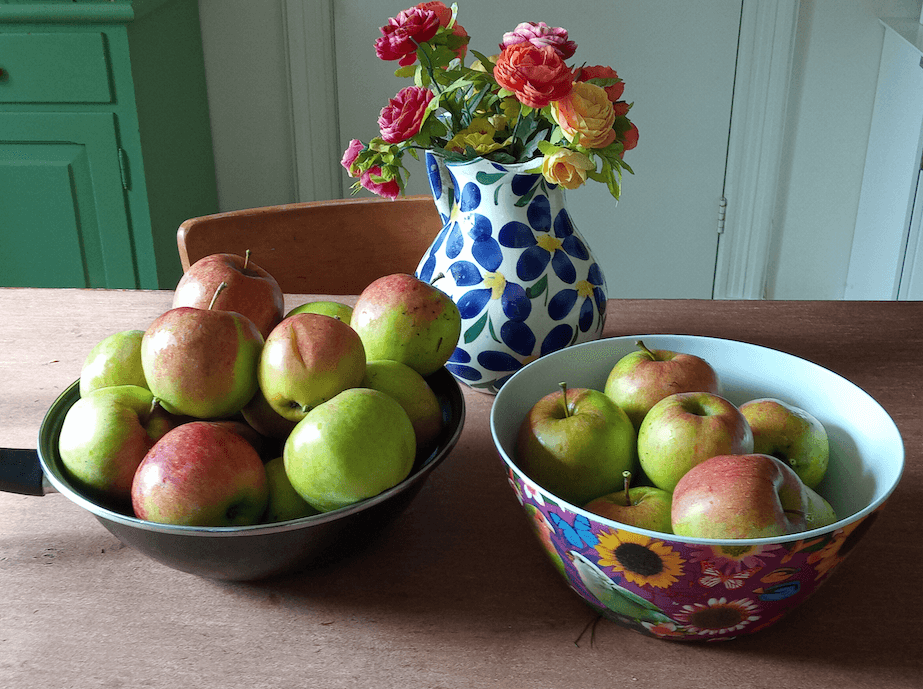 Gratis bomen + Elstar appels oogst september 2022