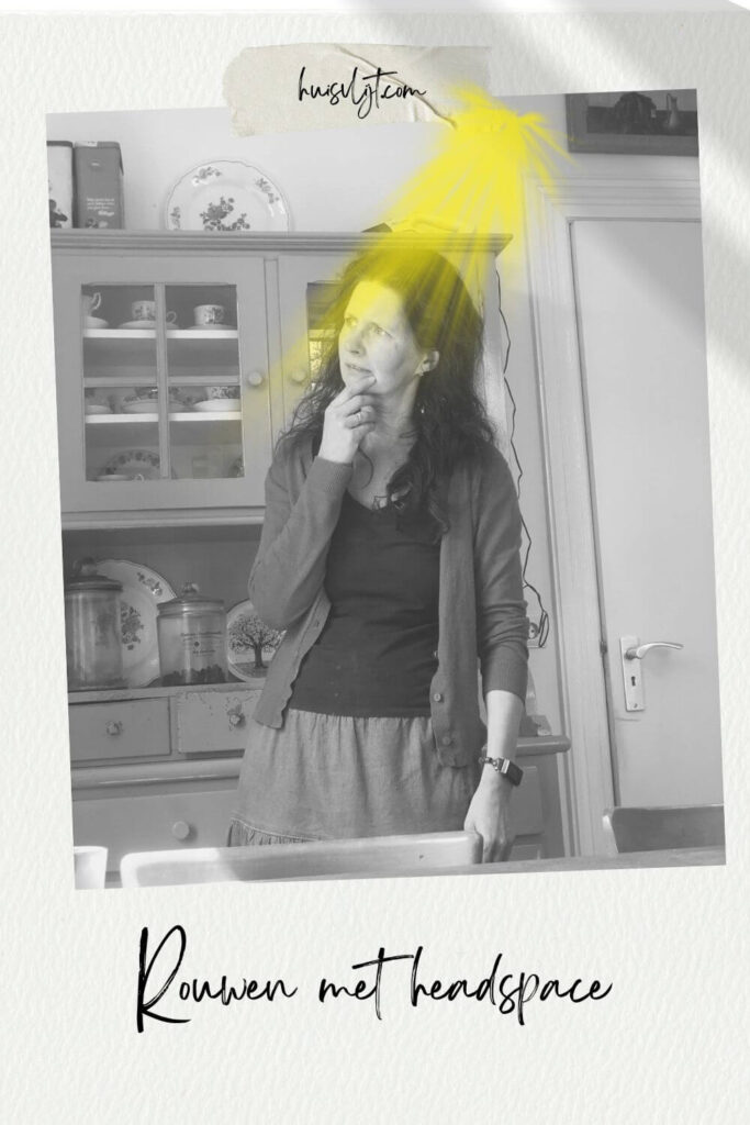 Rouwen met Headspace: level 2 is moeilijk 1 rouwen met headspace