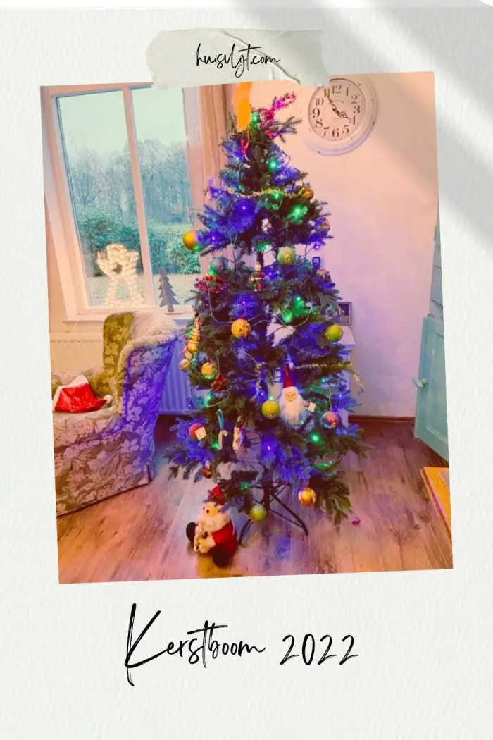 Toch maar een kerstboom…