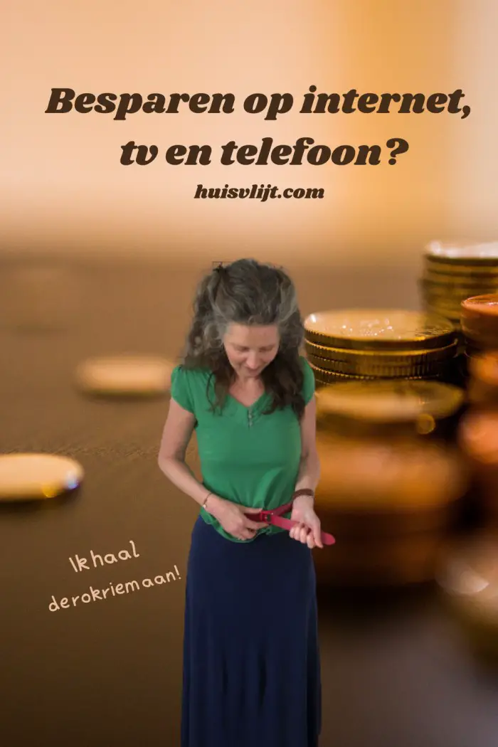 Besparen op internet: 20 euro per maand?