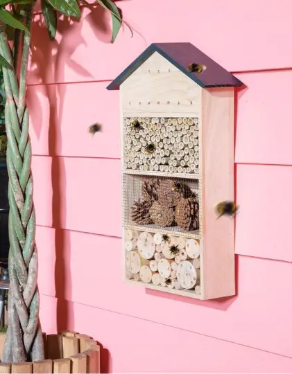 Insectenhotel: maak jij 1 van deze 11 fouten? 5 Screenshot 2023 03 08 at 12.44.56