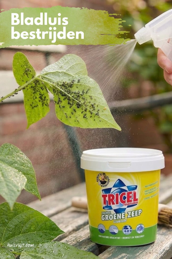 Groene zeep in de tuin: waarvoor kun je het gebruiken 2 bladluis bestrijden