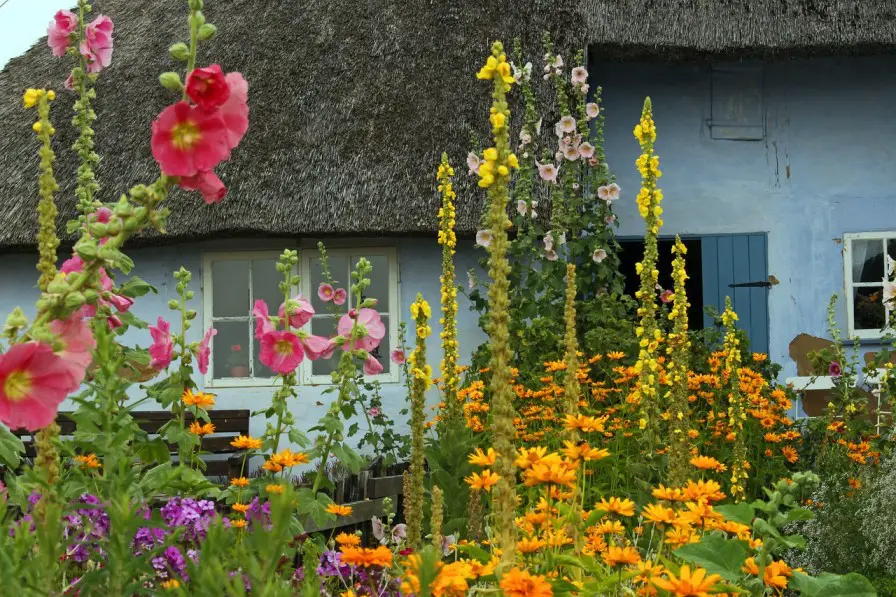 vooraanzicht cottage met bloementuin