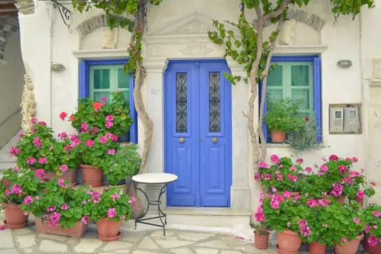 vooraanzicht met blauwe deur en bloemen