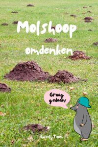 molshoop omdenken
