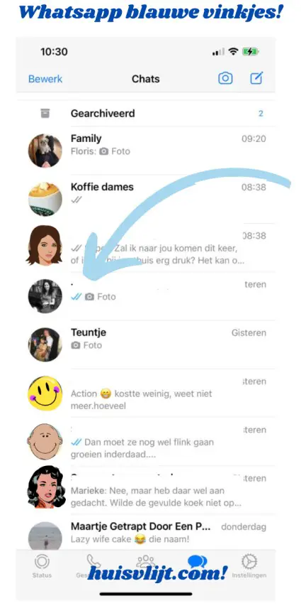 whatsapp blauwe vinkjes