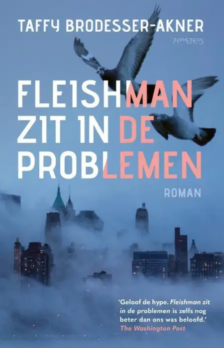 fleishman zit in de problemen