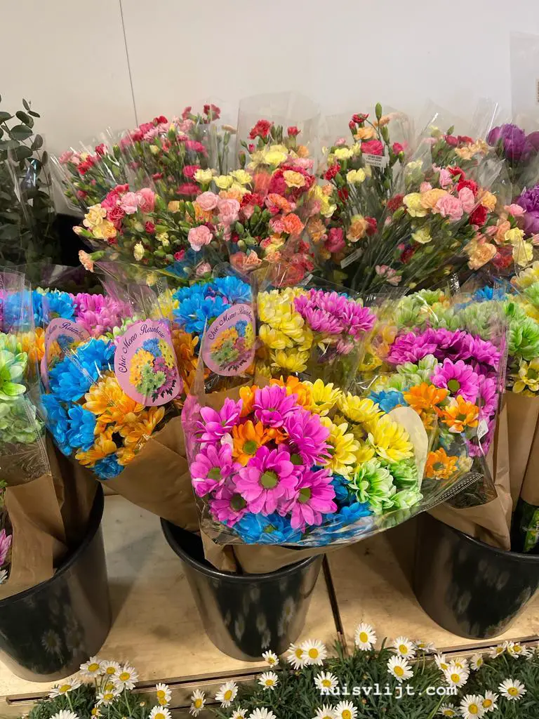 Mooie bloemen: blauw, roze, geel, oranje en groen!